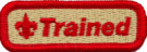 Trained-patch